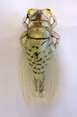 Vintage Celluloid Cicada Brooch