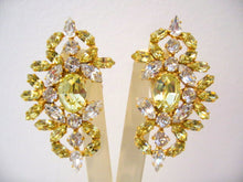 Load image into Gallery viewer, Harlequin Market Crystal Earrings-(Clip-On Earrings)