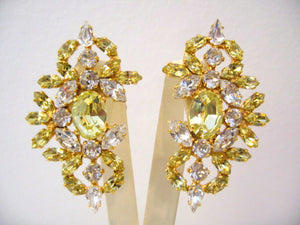 Harlequin Market Crystal Earrings-(Clip-On Earrings)